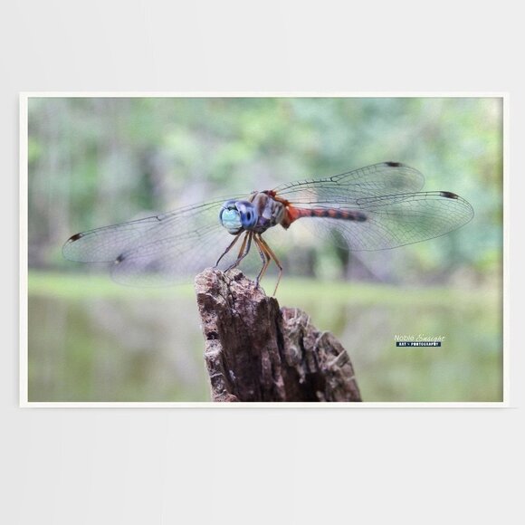 12x18 Dragonfly Resting Photography Oil Painting Art Poster - Picture 4 of 4